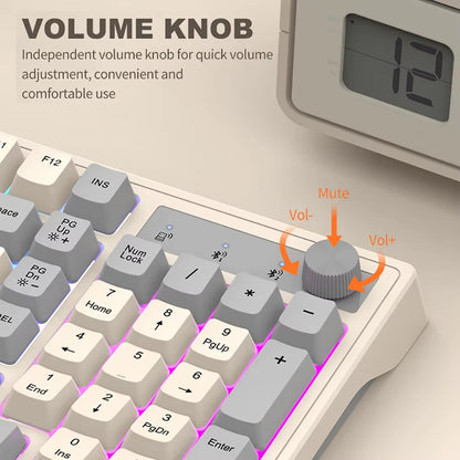 DualMode Wireless Keyboard and Mouse Set 2.4G Dual Bluetooth Keyboard RGB Gaming Keyboard Mouse Kit Mechanical Feel Keyboard